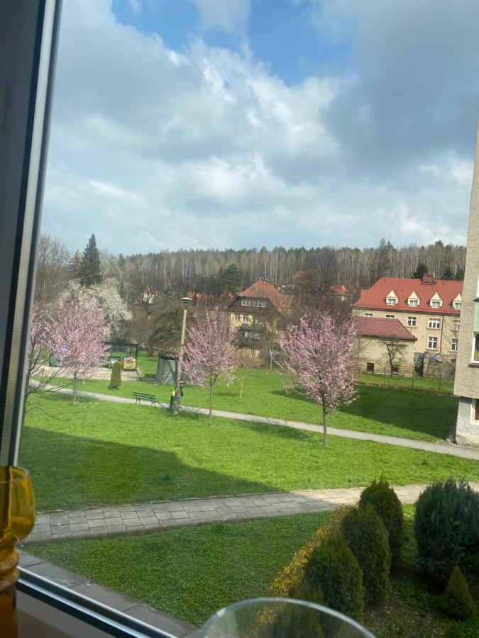 Apartament Apartament Centrum Polanica-Zdrój Zewnętrze zdjęcie